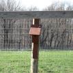 bluebirdbox